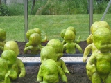 Nursery 01 2008.jpg