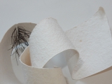 Shelter 08 2015.JPG