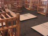 Freiheitsberaubung 02 2007.jpg