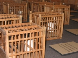 Freiheitsberaubung 05 2007.jpg