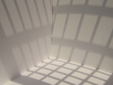 Gartenbuch Licht und Schatten 02