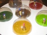 Schuetzlinge 01 2009.jpg