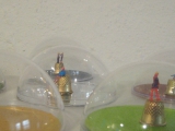 Schuetzlinge 02 2009.jpg