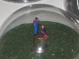 Schuetzlinge 03 2009.jpg